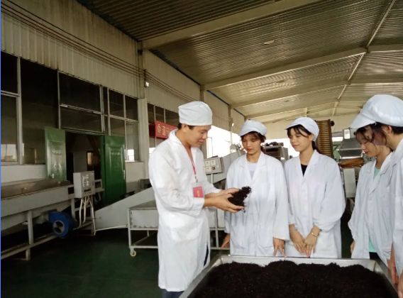 实训实习