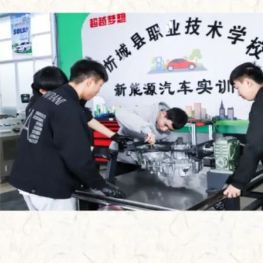 实训实习