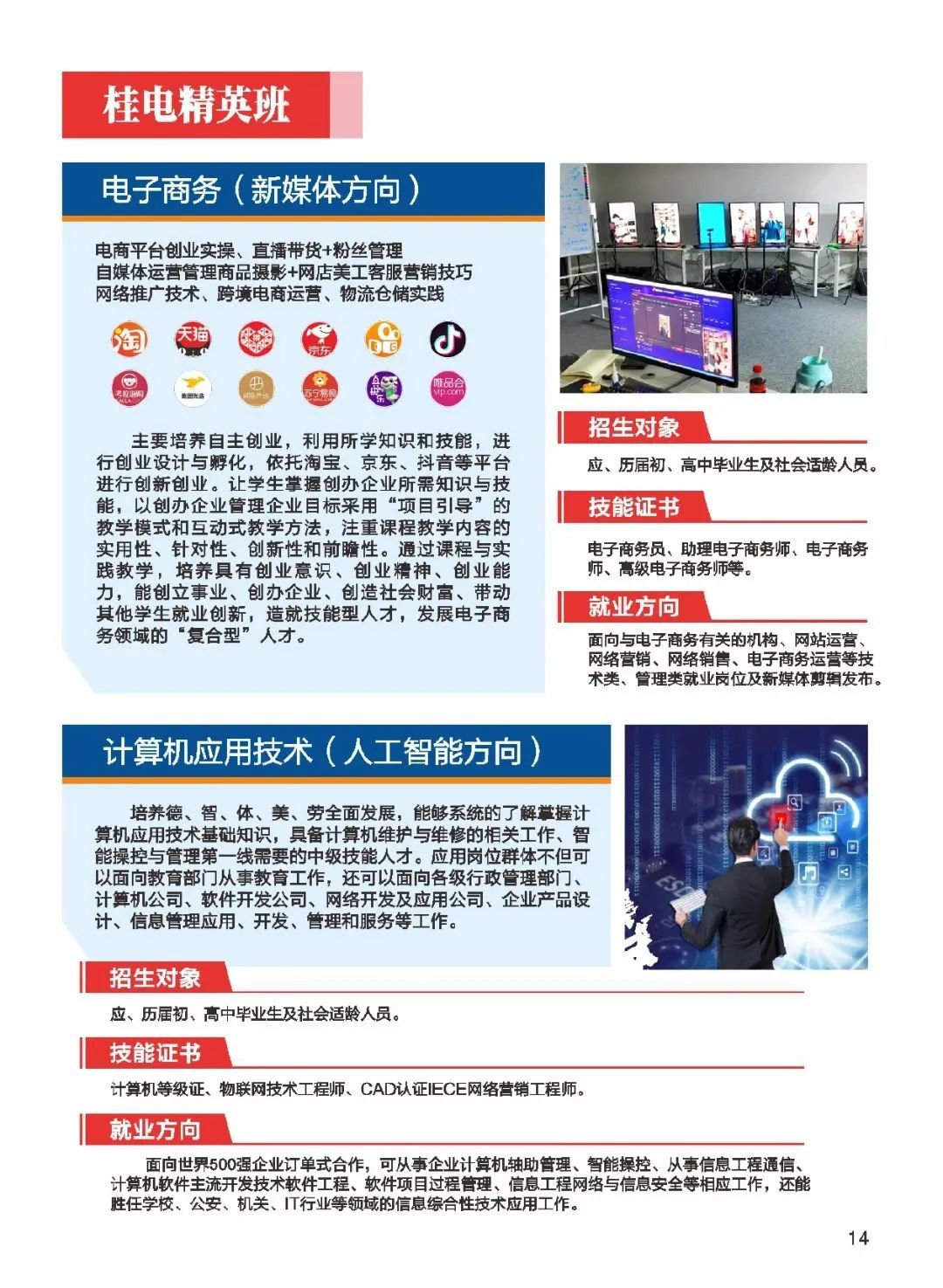 电子商务专业要求