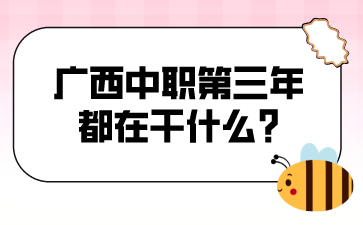 广西中职第三年都在干什么?
