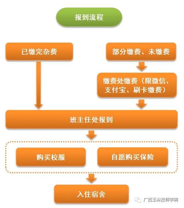 报到流程