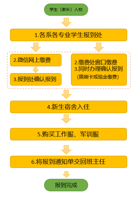 报到流程