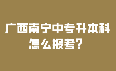 广西南宁中专升本科怎么报考？