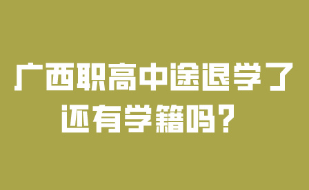 广西职高中途退学了还有学籍吗？