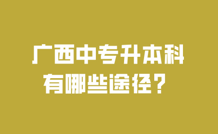 广西中专升本科有哪些途径？
